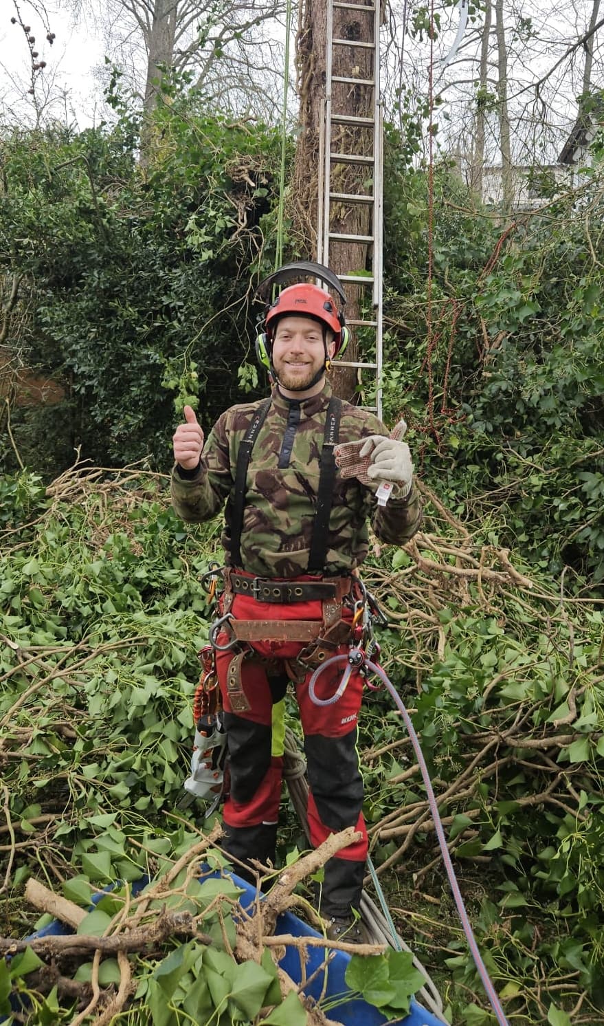 Lukas Wenrich - Baumpflege